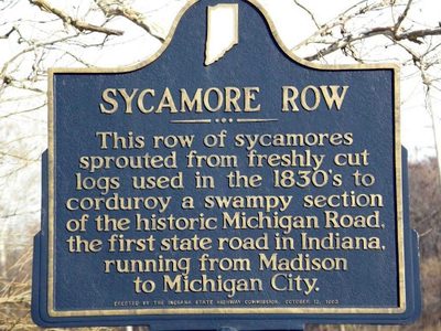 Sycamore Row