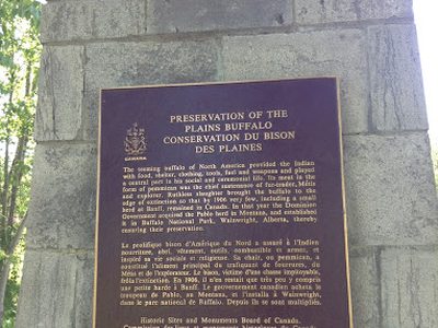 Preservation of the Plains Buffalo