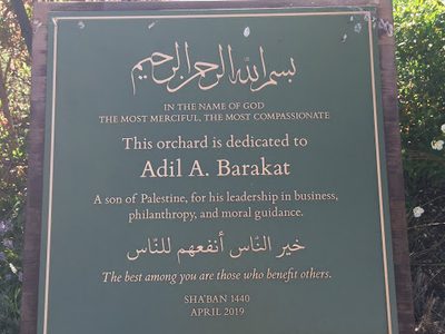 Adil A. Barakat