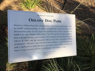 Ohlone Dog Park