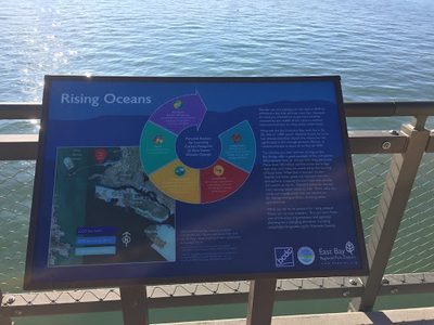 Rising Oceans