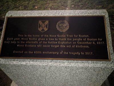 Nova Scotia Tree for Boston