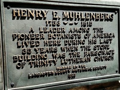 Henry E. Muhlenberg
