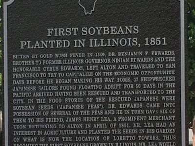 First Soybeans Planted in Illinois, 1851