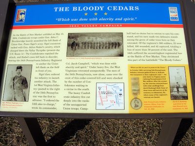 The Bloody Cedars