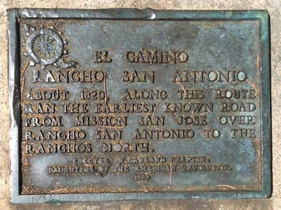 El Camino Rancho San Antonio