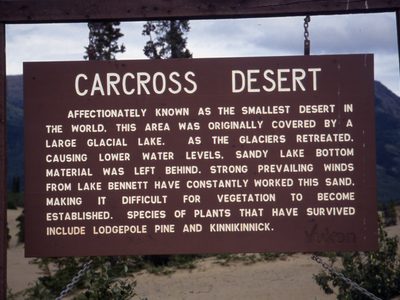Carcross Desert