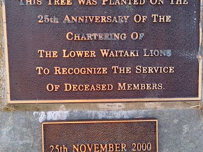 Lower Waitaki Lions - Duntroon