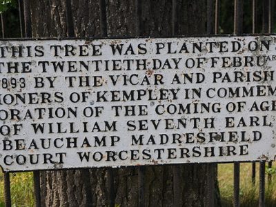 Plaque on an oak tree, Kempley