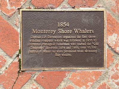 Shore Whalers