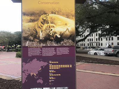 Tigers in the Wild Conservation