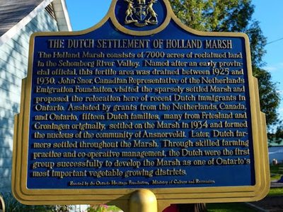The Dutch Settlement of Holland Marsh