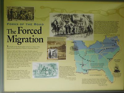 The Forced Migration - Forks of the Road
