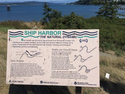Ship Harbor: The Natural Dynamic