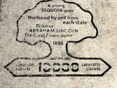 Nurtured by the Soil From Each State
