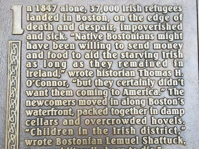 Irish Potato Famine