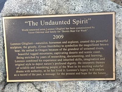 The Undaunted Spirit