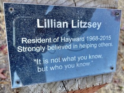Lillian Litzsey