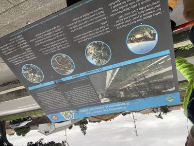 Protecting San Pablo Creek