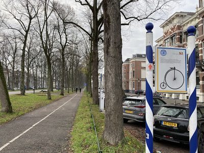 Maliebaan bicycle lane