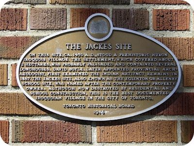 The Jackes Site