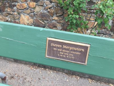 Steven Morgenstern