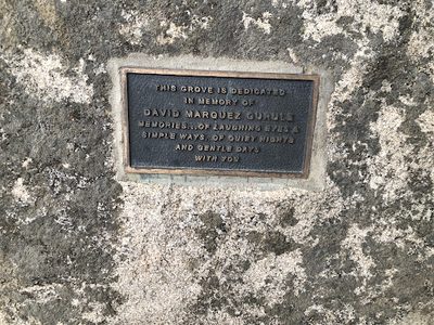 David Marquez Gurule