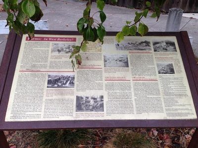 Farms: In West Berkeley?