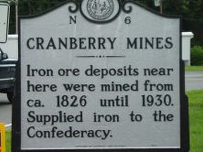 CRANBERRY MINES