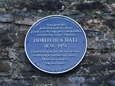 Dorthea Bate