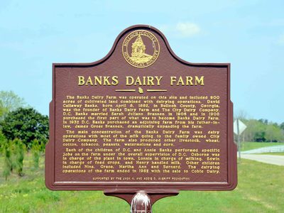 Banks Dairy