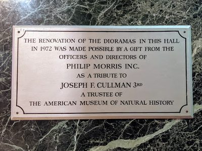 American Museum of Natural History, Akeley Hall - 1972 Renovation