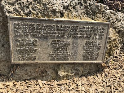 The History of Surfing