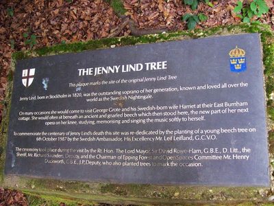 The Jenny Lind Tree Plaque