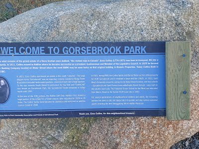 Gorsebrook park