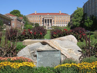 The Henry Quadrangle
