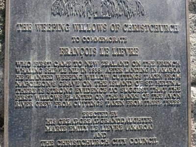 The Weeping Willows of Christchurch