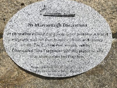 The Forgotten Irish