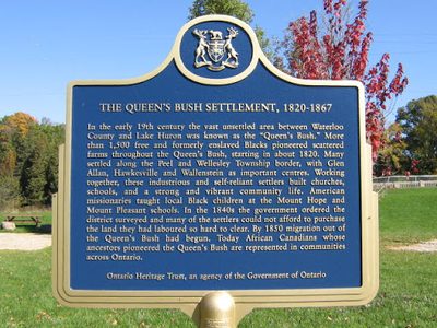 The Queen's Bush Settlement, 1820-1867