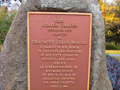 Beadle Azalea Garden