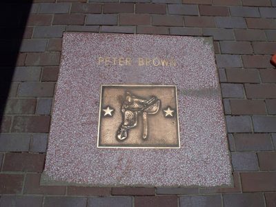 Peter Brown's Saddle