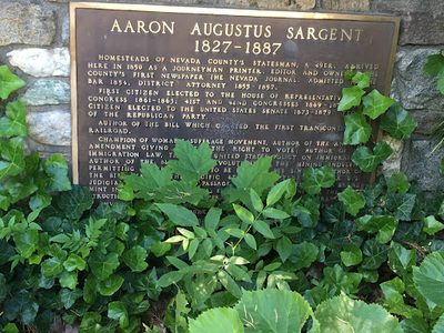 Aaron Augustus Sargent