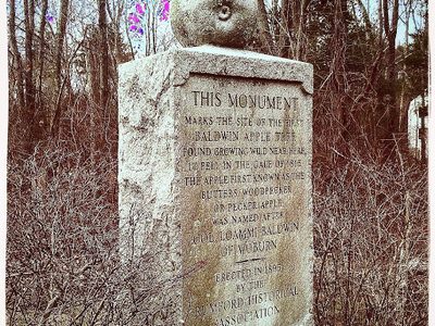 Baldwin Apple Monument