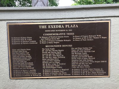The Exedra Plaza Commemorative Trees