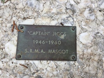 "CAPTAIN' JIGGS