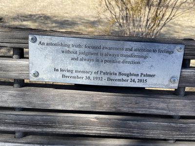 Patricia Boughton Palmer