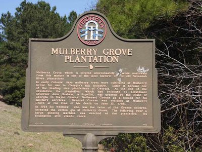 Mulberry Grove Plantation