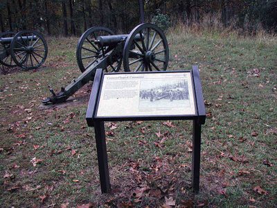 Camouflaged Cannons