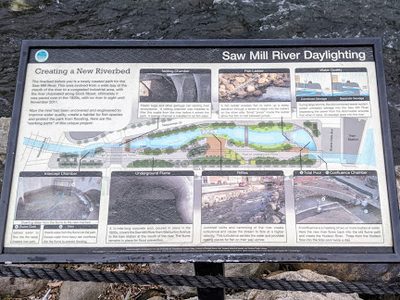 Saw Mill River Daylighting - Creating a New Riverbed