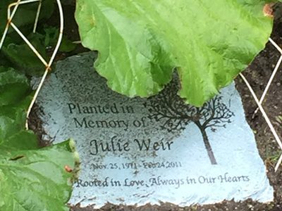 Julie Weir